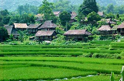 MAI CHAU